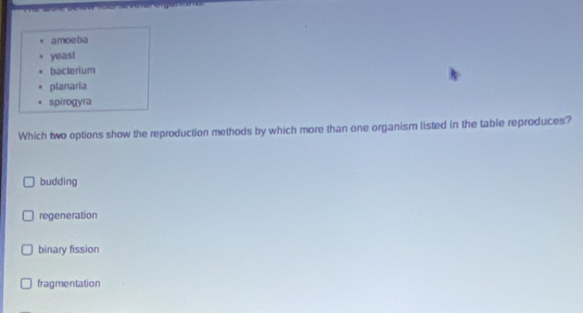 amoeba
yeast
bacterium
planaria
spirogyra
Which two options show the reproduction methods by which more than one organism listed in the table reproduces?
budding
regeneration
binary fission
fragmentation