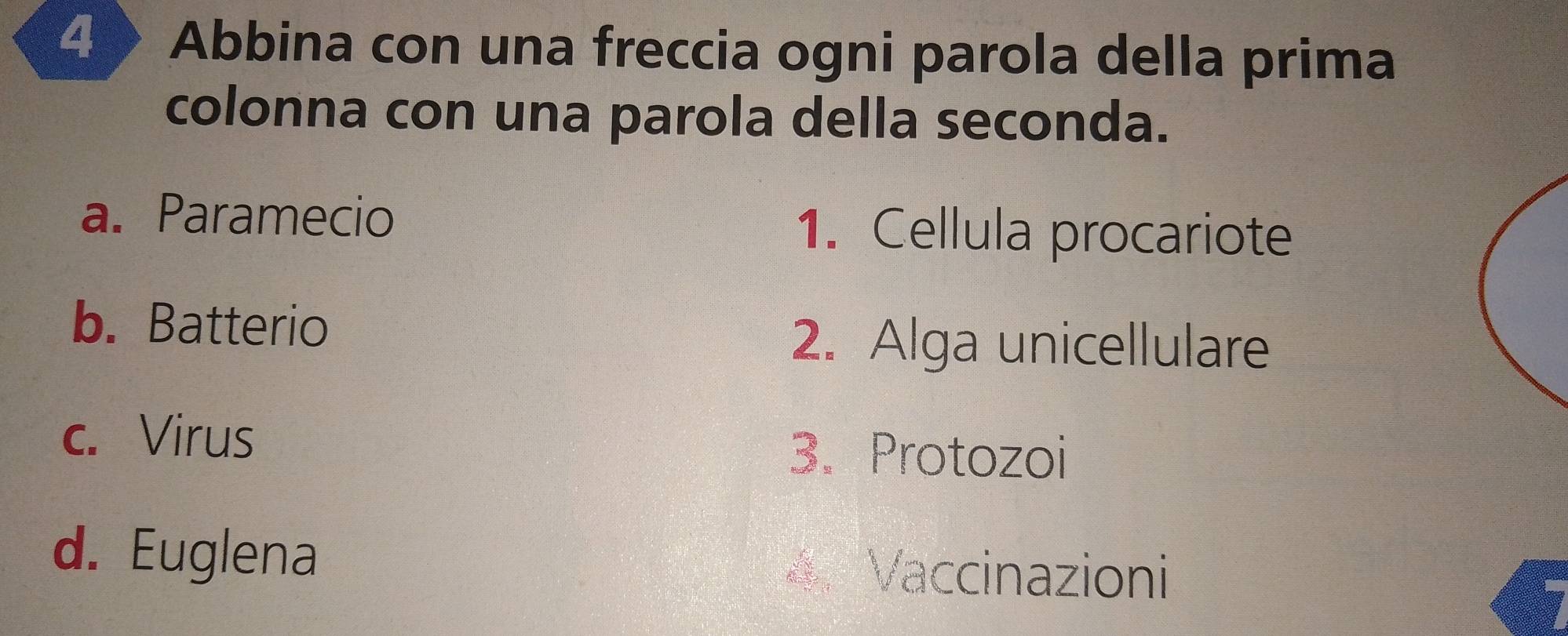 4 > Abbina con una freccia ogni parola della prima
colonna con una parola della seconda.
a. Paramecio 1. Cellula procariote
b. Batterio
2. Alga unicellulare
c. Virus
3. Protozoi
d. Euglena 4. Vaccinazioni