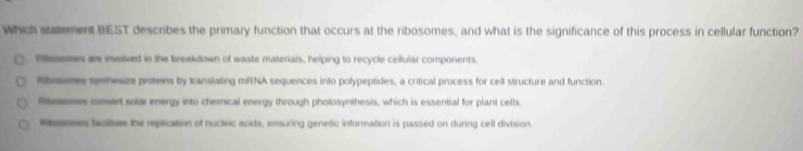 Which statement BEST describes the primary function that occurs at the ribosomes, and what is the significance of this process in cellular function?
Ribssemes are invulved in the breakdown of waste materials, helping to recycle cellular components.
Rbosmes sphesize proteins by translating mRNA sequences into polypeptides, a critical process for cell structure and function.
ftmones comert solar energy into chemical energy through photosynthesis, which is essential for plant cells.
Rosmes baclitee the replication of nucleic acids, ensuring genetic information is passed on during cell division.