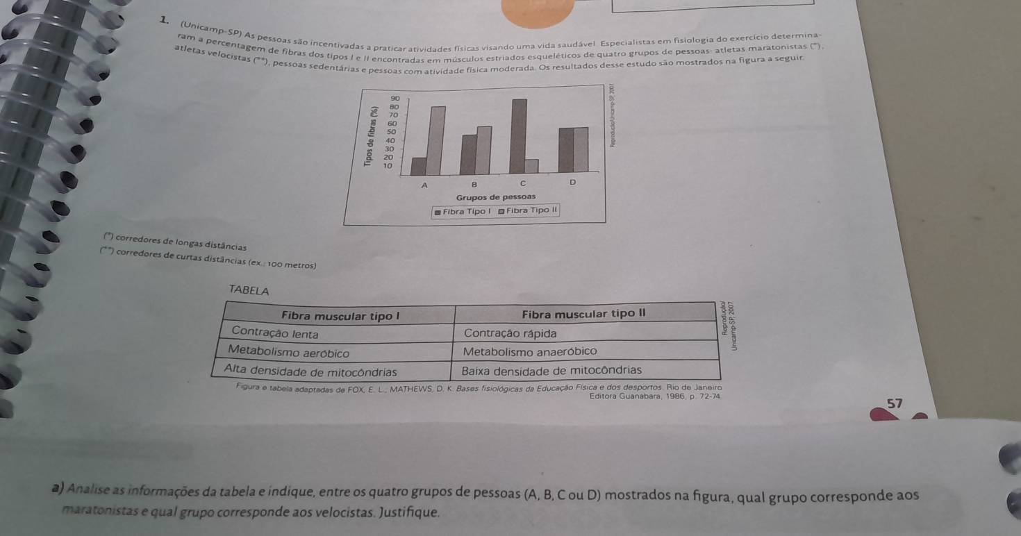 1 (Unicamp-SP) As pessoas são incentivadas a praticar atividades físicas visando uma vida saudável Especialistas em fisiologia do exercício determina
ram a percentagem de fibras dos tipos I e II encontradas em músculos estriados esqueléticos de quatro grupos de pessoas: atletas maratonistas (')
atletas velocistas (**), pessoas sedentárias e pessoas com atividade física moderada. Os resultados desse estudo são mostrados na figura a seguira
(*) corredores de longas distâncias
*) corredores de curtas distâncias (ex : 100 metros)
TABELA
Fibra muscular tipo I Fibra muscular tipo II
Contração lenta Contração rápida
33
Metabolismo aeróbico Metabolismo anaeróbico
Alta densidade de mitocôndrias Baixa densidade de mitocôndrias
Figura e tabela adaptadas de FOX, E. L., MATHEWS, D. K. Bases fisiológicas da Educação Física e dos desportos. Rio de Janeiro
Editora Guanabara, 1986, p. 72 -74
57
a) Analise as informações da tabela e indique, entre os quatro grupos de pessoas (A, B, C ou D) mostrados na figura, qual grupo corresponde aos
maratonistas e qual grupo corresponde aos velocistas. Justifique.