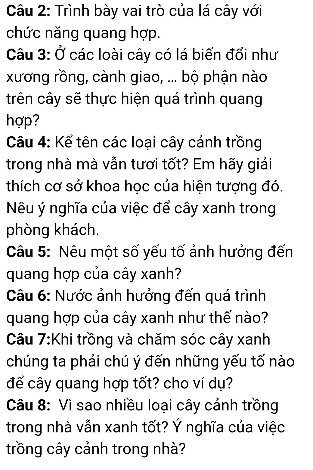 Trình bày vai trò của lá cây với 
chức năng quang hợp. 
Câu 3: Ở các loài cây có lá biến đổi như 
xương rồng, cành giao, ... bộ phận nào 
trên cây sẽ thực hiện quá trình quang 
hợp? 
Câu 4: Kể tên các loại cây cảnh trồng 
trong nhà mà vẫn tươi tốt? Em hãy giải 
thích cơ sở khoa học của hiện tượng đó. 
Nêu ý nghĩa của việc để cây xanh trong 
phòng khách. 
Câu 5: Nêu một số yếu tố ảnh hưởng đến 
quang hợp của cây xanh? 
Câu 6: Nước ảnh hưởng đến quá trình 
quang hợp của cây xanh như thế nào? 
Câu 7:Khi trồng và chăm sóc cây xanh 
chúng ta phải chú ý đến những yếu tố nào 
để cây quang hợp tốt? cho ví dụ? 
Câu 8: Vì sao nhiều loại cây cảnh trồng 
trong nhà vẫn xanh tốt? Ý nghĩa của việc 
trồng cây cảnh trong nhà?