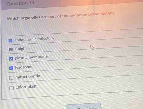 Which organelles are part of the endomembrane syster
endoplasmic reticulum
Golgi
plasma membrane
lysosome
mitochondria
chloroplast