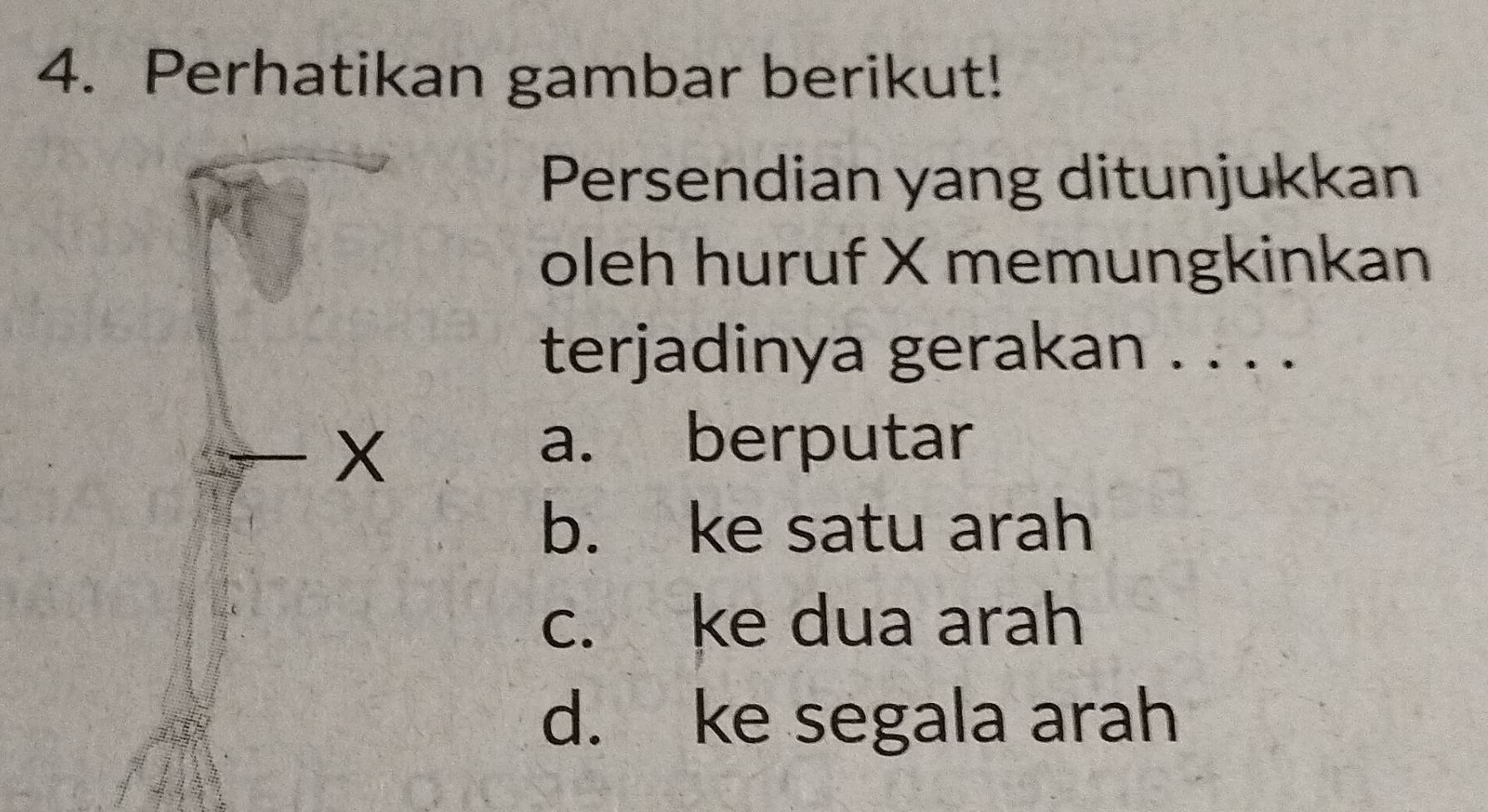 Perhatikan gambar berikut!
Persendian yang ditunjukkan
oleh huruf X memungkinkan
terjadinya gerakan . . . .
a. berputar
b. ke satu arah
c. ke dua arah
d. ke segala arah