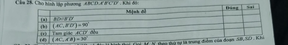 Cho hìnBCD. A'B'C'D'. Khi đó:
ni Gọi M.N theo