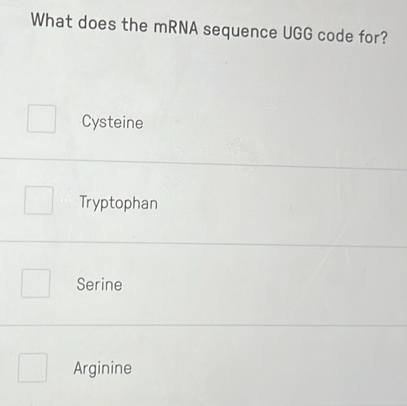 What does the mRNA sequence UGG code for?
Cysteine
Tryptophan
Serine
Arginine