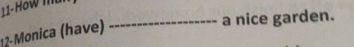 11- How mu 
12- Monica (have) 
_a nice garden.