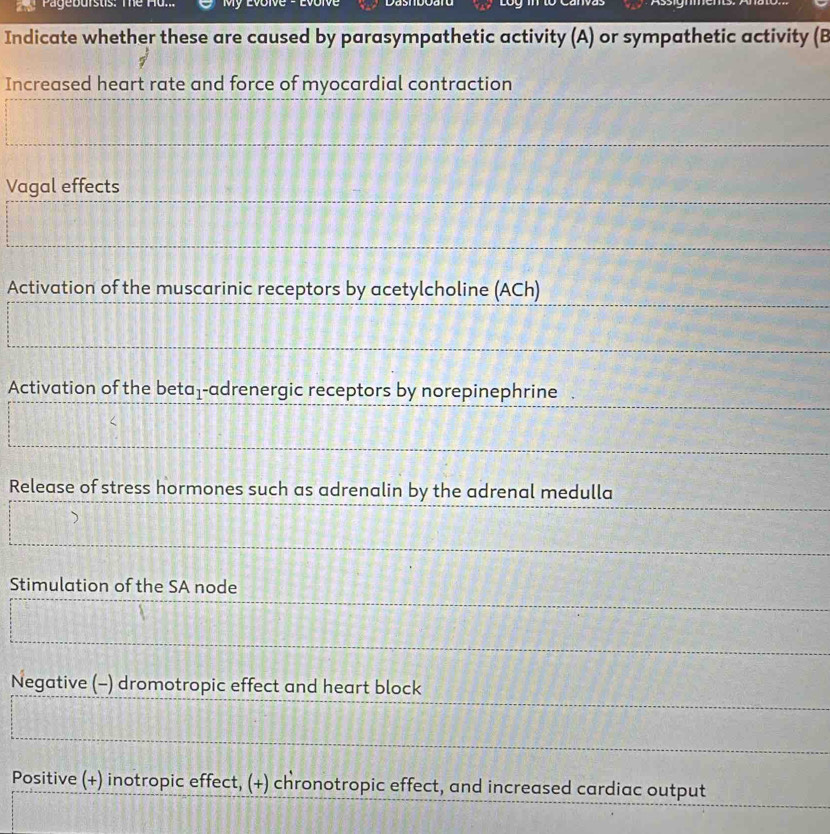 Pageburstis: The Hu. My Evolve - Evolve
Luy
Indicate whether these are caused by parasympathetic activity (A) or sympathetic activity (B
Increased heart rate and force of myocardial contraction
Vagal effects
Activation of the muscarinic receptors by acetylcholine (ACh)
Activation of the beta-adrenergic receptors by norepinephrine
Release of stress hormones such as adrenalin by the adrenal medulla
Stimulation of the SA node
Negative (-) dromotropic effect and heart block
Positive (+) inotropic effect, (+) chronotropic effect, and increased cardiac output