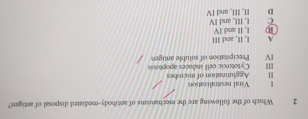 Which of the following are the mechanisms of antibody-mediated disposal of antigen?
I Viral neutralization
I Agglutination of microbes
III Cytotoxic cell induces apoptosis
IV Precipitation of soluble antigen
A I, II, and III
B I, II and IV
C I, III, and IV
D II, III, and IV