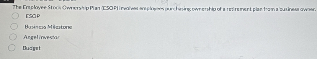 The Employee Stock Ownership Plan (ESOP) involves employees purchasing ownership of a retirement plan from a business owner.
ESOP
Business Milestone
Angel Investor
Budget