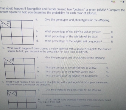 What would happen if SpongeBob and Patrick crossed two ''goobers'' or green jellyfish? Complete the 
unnett square to help you determine the probability for each color of jellyfish. 
. Give the genotypes and phenotypes for the offspring. 
_ 
What percentage of the jellyfish will be yellow? _ %
What percentage of the Jellyfish will be blue? _ %. What percentage of the jellyfish will be goobers? _ %
6. What would happen if they crossed a yellow jellyfish with a goober? Complete the Punnett 
square to help you determine the probability for each color of jellyfish. 
Give the genotypes and phenotypes for the offspring. 
_ 
What percentage of the jellyfish will be yellow? _ %
What percentage of the Jellyfish will be blue? _ %
What percentage of the jellyfish will be goobers? _ %
7. What would happen if they crossed a blue Jellyfish with a yellow jellyfish? Complete the Punnett 
square to help you answer the questions. 
a. Give the genotypes and phenotypes for the offspring 
_ 
a 
9 
b. 
you expect from each ? If 100 jellyfish were produced from this cross, how many would 
Yellaw. _Blue _Goobers_