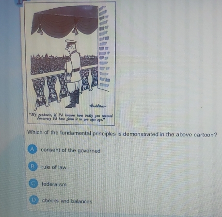 demonstrated in the above cartoon?
A consent of the governed
B》 rule of law
federalism
checks and balances