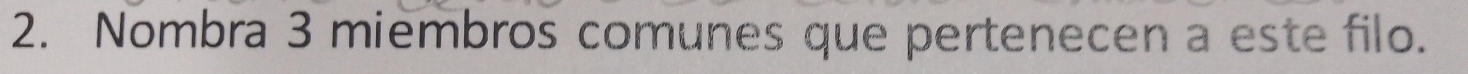 Nombra 3 miembros comunes que pertenecen a este filo.