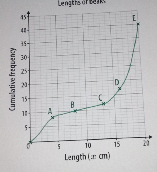 Lengths of beaks 
0