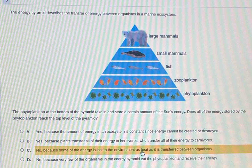 Solved: The energy pyramid describes the transfer of energy between ...