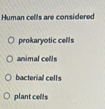 Human cells are considered
prokaryotic cells
animal cells
bacterial cells
plant cells