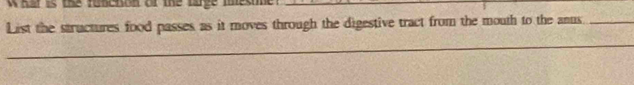 har is the ronchom of the large mes 
List the structures food passes as it moves through the digestive tract from the mouth to the anus_ 
_
