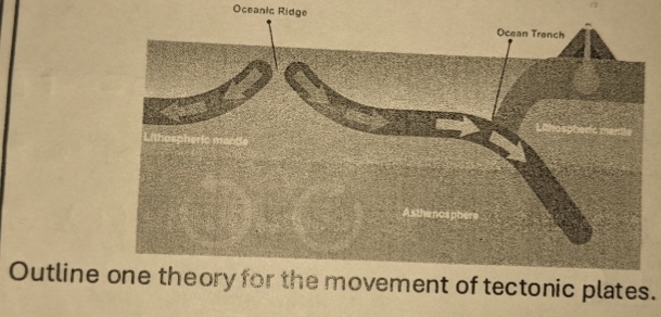 Oceanic Ridge 
Outline one theory for the movement of tectonic plates.