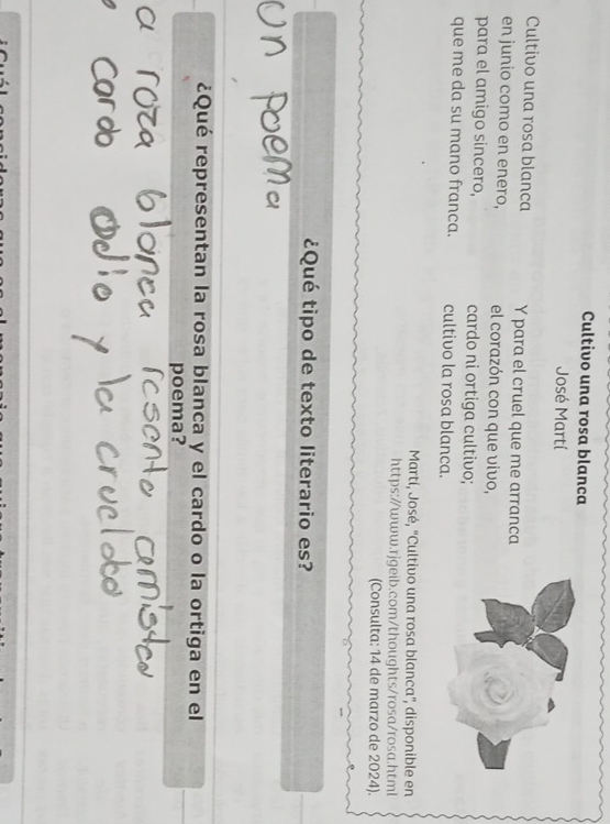 Cultivo una rosa blanca 
José Martí 
Cultivo una rosa blanca Y para el cruel que me arranca 
en junio como en enero, el corazón con que vivo, 
para el amigo sincero, cardo ni ortiga cultivo; 
que me da su mano franca. cultivo la rosa blanca. 
Martí, José, "Cultivo una rosa blanca', disponible en 
https://www.rjgeib.com/thoughts/rosa/rosa.html 
(Consulta: 14 de marzo de 2024). 
¿Qué tipo de texto literario es? 
¿Qué representan la rosa blanca y el cardo o la ortiga en el 
poema?