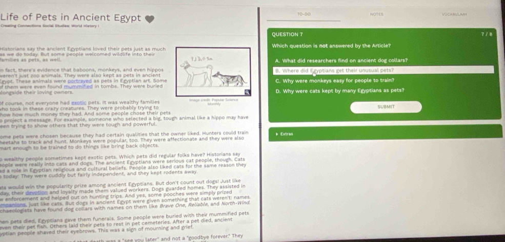 Life of Pets in Ancient Egypt TO-DO NOTE
Creating Connections Social Studies: World History I
QUESTION 7 7 / 8
Historians say the ancient Egyptians loved their pets just as muchWhich question is not answered by the Article?
as we do today. But some people welcomed wildlife into their
families as pets, as well. A. What did researchers find on ancient dog collars?
n fact, there's evidence that baboons, monkeys, and even hippos
weren't just zoo animals. They were also kept as pets in ancientB. Where did Egyptians get their unusual pets?
Egypt. These animals were portrayed as pets in Egyptian art. Some
of them were even found mummified in tombs. They were buried C. Why were monkeys easy for people to train?
longside their loving owners.D. Why were cats kept by many Egyptians as pets?
Of course, not everyone had exotic pets. It was wealthy families
who took in these crazy creatures. They were probably trying to
SUBMIT
how how much money they had. And some people chose their pets
o project a message. For example, someone who selected a big, tough animal like a hippo may have
een trying to show others that they were tough and powerful.
ome pets were chosen because they had certain qualities that the owner liked. Hunters could train * Extras
heetahs to track and hunt. Monkeys were popular, too. They were affectionate and they were also
mart enough to be trained to do things like bring back objects.
o wealthy people sometimes kept exotic pets. Which pets did regular folks have? Historians say
eople were really into cats and dogs. The ancient Egyptians were serious cat people, though. Cats
d a role in Egyptian religious and cultural beliefs. People also liked cats for the same reason they
today: They were cuddly but fairly independent, and they kept rodents away.
ats would win the popularity prize among ancient Egyptians. But don't count out dogs! Just like
day, their devotion and loyalty made them valued workers. Dogs guarded homes. They assisted in
w enforcement and helped out on hunting trips. And yes, some pooches were simply prized
mnanions, just like cats. But dogs in ancient Egypt were given something that cats weren't: names.
chaeologists have found dog collars with names on them like Brave One, Reliable, and North-Wind.
hen pets died, Egyptians gave them funerals. Some people were buried with their mummified pets
even their pet fish. Others laid their pets to rest in pet cemeteries. After a pet died, ancient
yptian people shaved their eyebrows. This was a sign of mourning and grief.
was a "see you later" and not a "goodbye forever." They