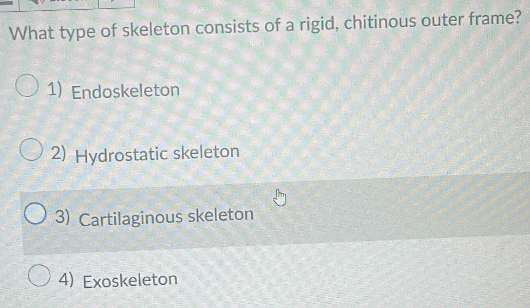 What type of skeleton consists of a rigid, chitinous outer frame?
1) Endoskeleton
2) Hydrostatic skeleton
3) Cartilaginous skeleton
4) Exoskeleton