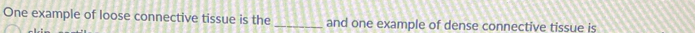 One example of loose connective tissue is the _and one example of dense connective tissue is