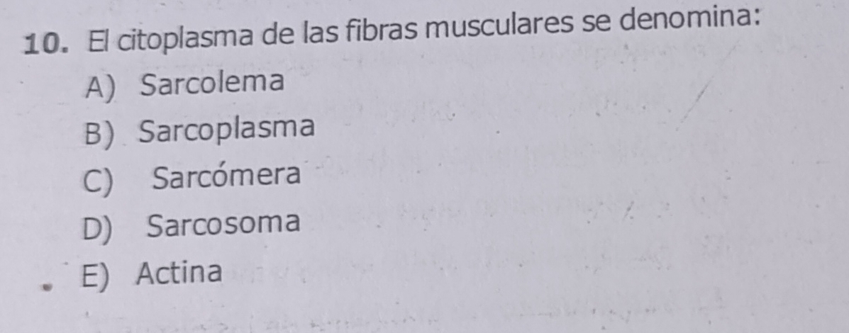 El citoplasma de las fibras musculares se denomina:
A) Sarcolema
B) Sarcoplasma
C) Sarcómera
D) Sarcosoma
E) Actina