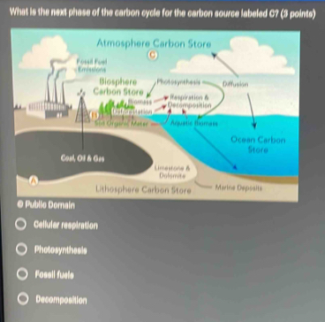 What is the next phase of the carbon cycle for the carbon source labeled C? (3 points)
Atmosphere Carbon Store
C
= Emission= Fossil Foel
Biosphere Photosynthesis Diffusion
Carbon Store Respiration&
dioness
Deconpostion
Sod Organic Mater Aquatic Bumass
Ocean Carbon
Store
Coal, Ol & Ges
Limestone B Dolomite
A Marine Deposits
Lithosphere Carbon Store
@ Public Domain
Cellular respiration
Photosynthesis
Fossil fuels
Decomposition