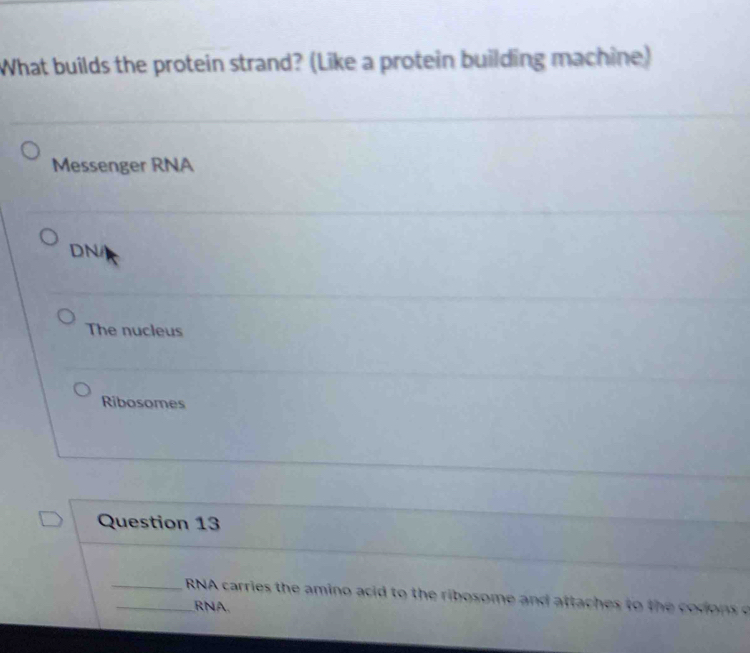 What builds the protein strand? (Like a protein building machine)
Messenger RNA
DN/
The nucleus
Ribosomes
Question 13
__ RNA carries the amino acid to the ribosome and attaches to the cod n 
RNA