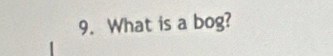 What is a bog?