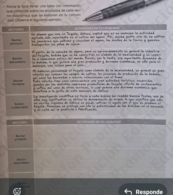 Ahora te toca llenar una tabla con informac 
que conozcas sobre los productos de cada s 
tor económico que se elaboren en tu com 
dad. Observa el siguiente ejemplo 
SECTORES ACTIVIDADES EN TU LOCALIDAD 
o T e C en su municipio la actividad 
gente vive de su ultivo: 
Sector , los dueños de la tierra y quienes 
cosechan 
primario an las piñas de 

partir de la coech a de aga v e, para su a vechamiento se generó la industria 
tequila, bebida que se ha convertido en símbolo de la mexicanid. 
Sector mundo. Exis 
secundario a e bida, lo que gran pr 
nicípio ino i c u a 5 
Al haberse posicionado el tequila como símbolo de la mexic o n g a 
interés por conocer los campos de cultivo, los proceso 
así como las haciendas o museos relacionados con el to 
Sector Este interés trae como consecuencia una gran activid í ic 
terciario guiados por las distintas empresas productoras de a de restaurantes 
cafés, así como de otros servicios, lo cual genera un 
c a que 
Beneficia a la gente de este municipio de Jalísco. 
La investigación científica en torno a esta bebida ha rendido buenos frutos, uno de 
ellos muy significativo: se obtuvo la denominación d 
qn 
Sector en ciertás regiones de Jalisco se puede cultivar el 
cuaternario tequila. Asimismo, se protege con ello la autentic 
y se evita así la piratería o falsificación. 
SECTORES ACTIVIDADES EN TU LOCALIDAD 
Sector 
primario 
Sector 
secundario 
Sector 
mario 
Responde