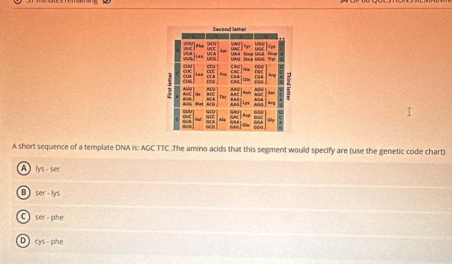 mnotes remam
Second letter
UGU
UUU UAU UGC Cys
UAC Ty
Ser
UUC UCC UAA Stap UGA
Leu UCA
UUG UUA UCG uag Stap UGG Stop Trp
cUu CCU CA H CGC
c a CGU
cUC C CCA Pro Arg
CUA Leu
CUG CCG CAG Gir CGA
CAA CGG
AUU ACU AAU AGU AGC Sar =
Asn
ALA
A AUC ife ACC Thr AAC AAA Lys AGG Arg
AUG Met ACG ACA AGA
AAG
GUC GUU GCU GAU GAC Asp GGU GGC
GUA GCA GCC
Val Ala GAA
GUG GCG GAG Glu GGG GGA Gly
A short sequence of a template DNA is: AGC TTC .The amino acids that this segment would specify are (use the genetic code chart)
A lys-ser
B ser-lys
C ser-Dhe )
Dcys - phe