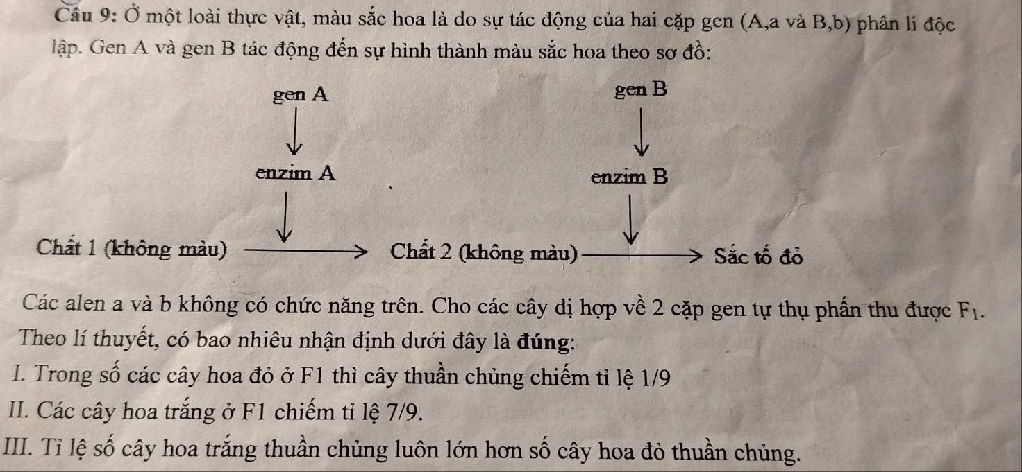 Ở một loài thực vật, màu sắc hoa là do sự tác động của hai cặp gen (A, a và B,b) phân li độc
lập. Gen A và gen B tác động đến sự hình thành màu sắc hoa theo sơ đồ:
gen A genB 
enzim A enzim B
Chất 1 (không màu) Chất 2 (không màu) Sắc tố đỏ
Các alen a và b không có chức năng trên. Cho các cây dị hợp về 2 cặp gen tự thụ phần thu được F_1. 
Theo lí thuyết, có bao nhiêu nhận định dưới đây là đúng:
I. Trong số các cây hoa đỏ ở F1 thì cây thuần chủng chiếm tỉ lệ 1/9
II. Các cây hoa trắng ở F1 chiếm tỉ lệ 7/9.
III. Ti lệ số cây hoa trắng thuần chủng luôn lớn hơn số cây hoa đỏ thuần chủng.