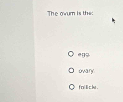 The ovum is the:
egg.
ovary
follicle.