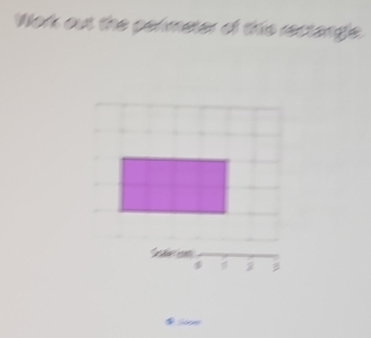 Work out the pelimeter of this rectange.