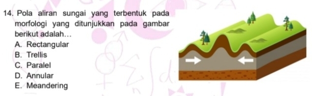 Pola aliran sungai yang terbentuk pada
morfologi yang ditunjukkan pada gambar
berikut adalah...
A. Rectangular
B. Trellis
C. Paralel
D. Annular
E. Meandering