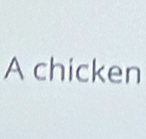 A chicken