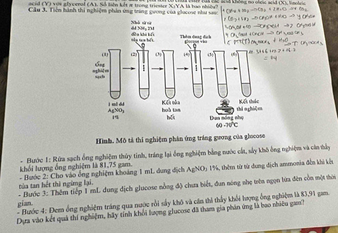 soncó chta ester của các acid không no oleic acid . ∈fty
acid (Y) với glycerof (A). Sổ liên kết π trong triester X:YA là bao nhiêu? linoleic
Câu 3. Tiền hành thí nghiệm phân ứng tráng gương của glucose như sau:
Hình. Mô tả thí nghiệm phản ứng tráng gương của glucose
- Bước 1: Rừa sạch ống nghiệm thủy tinh, tráng lại ống nghiệm bằng nước cất, sẩy khô ống nghiệm và cân thấy
khối lượng ống nghiệm là 81,75 gam.
- Bước 2: Cho vào ống nghiệm khoảng 1 mL dung dịch AgNO_3 1%, thêm từ từ dung dịch ammonia đến khi kếu
tủa tan hết thì ngừng lại.
- Bước 3: Thêm tiếp 1 mL dung dịch glucose nồng độ chưa biết, đun nóng nhẹ trên ngọn lửa đèn cồn một thời
gian.  - Bước 4: Đem ống nghiệm tráng qua nước rồi sấy khô và cần thì thấy khối lượng ống nghiệm là 83,91 gam.
Dựa vào kết quả thí nghiệm, hãy tính khối lượng glucose đã tham gia phản ứng là bao nhiêu gam?