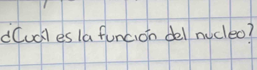 dCudl es la funcion del nucleo?