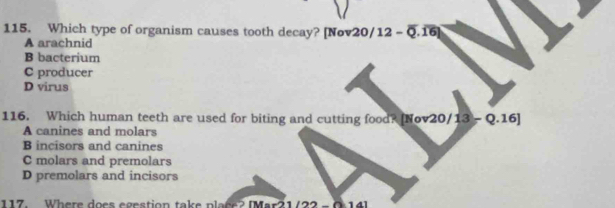 Which type of organism causes tooth decay? [Nov20/12 - Q.16]
A arachnid
B bacterium
C producer
D virus
116. Which human teeth are used for biting and cutting food? [Nov20/13 - Q.16]
A canines and molars
B incisors and canines
C molars and premolars
D premolars and incisors
117 Where does egestion take place ? (Mar'