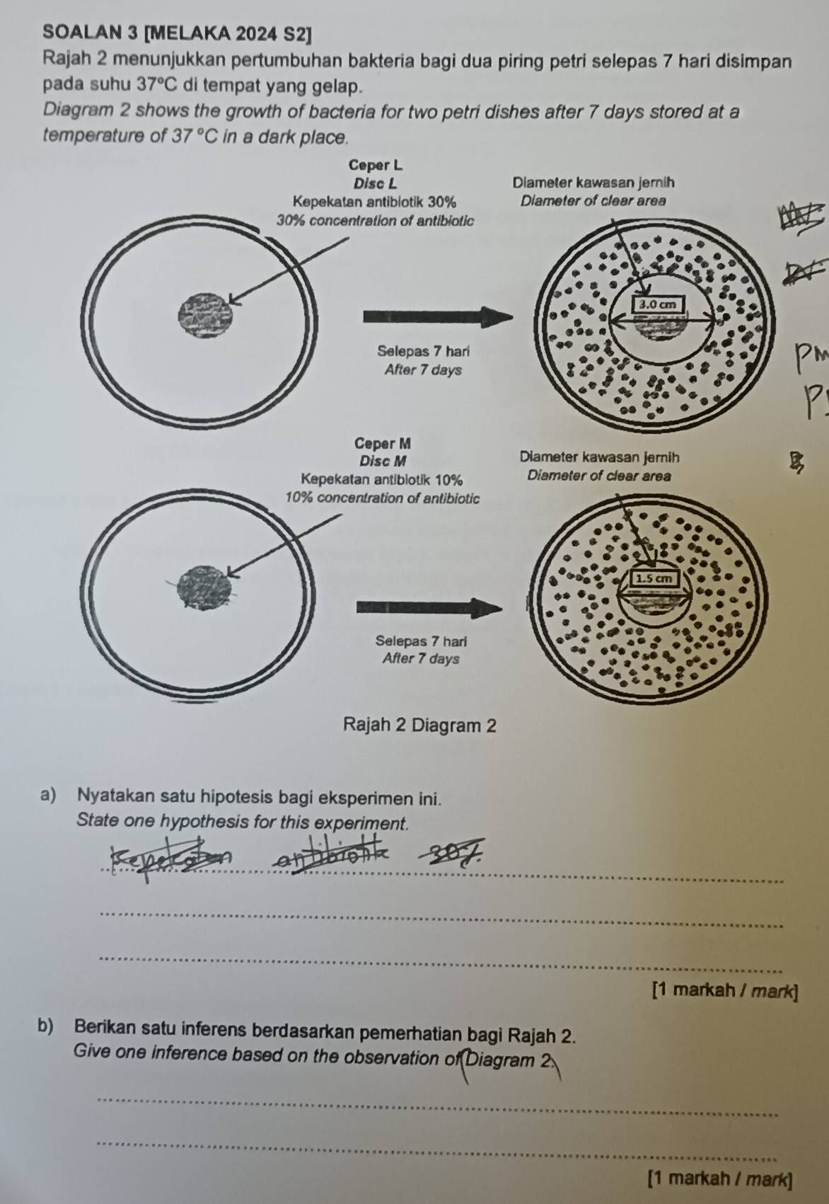 SOALAN 3 [MELAKA 2024 S2] 
Rajah 2 menunjukkan pertumbuhan bakteria bagi dua piring petri selepas 7 hari disimpan 
pada suhu 37°C di tempat yang gelap. 
Diagram 2 shows the growth of bacteria for two petri dishes after 7 days stored at a 
temperature of 37°C in a dark place. 
Pm 
a) Nyatakan satu hipotesis bagi eksperimen ini. 
State one hypothesis for this experiment. 
_ 
_ 
_ 
_ 
[1 markah / mark] 
b) Berikan satu inferens berdasarkan pemerhatian bagi Rajah 2. 
Give one inference based on the observation of(Diagram 
_ 
_ 
[1 markah / mark]