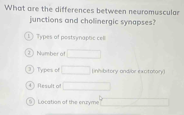 What are the differences between neuromuscular 
junctions and cholinergic synapses? 
1 Types of postsynaptic cell 
2 Number of □
3 Types of □ (inhibitory and/or excitatory) 
4Result of □ □
5 Location of the enzyme □