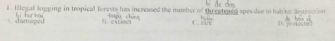 Illegal logging in tropical forests has increased the number of threatened apes due to habitat destruction.
damage B. extinct C. rare D. protecte