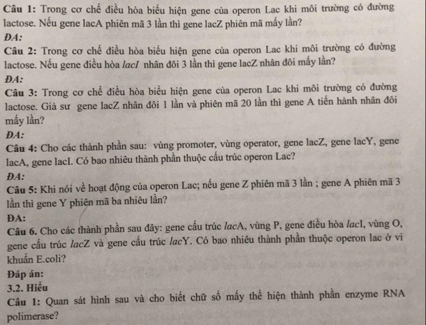 Trong cơ chế điều hòa biểu hiện gene của operon Lac khi môi trường có đường 
lactose. Nếu gene lacA phiên mã 3 lần thì gene lacZ phiên mã mấy lần? 
DA: 
Câu 2: Trong cơ chế điều hòa biều hiện gene của operon Lac khi môi trường có đường 
lactose. Nếu gene điều hòa lac/ nhân đôi 3 lần thì gene lacZ nhân đôi mấy lần? 
DA: 
Câu 3: Trong cơ chế điều hòa biểu hiện gene của operon Lac khi môi trường có đường 
lactose. Giả sư gene lacZ nhân đôi 1 lần và phiên mã 20 lần thì gene A tiến hành nhân đôi 
mấy lần? 
DA: 
Câu 4: Cho các thành phần sau: vùng promoter, vùng operator, gene lacZ, gene lacY, gene 
lacA, gene lacI. Có bao nhiêu thành phần thuộc cấu trúc operon Lac? 
DA: 
Câu 5: Khi nói về hoạt động của operon Lac; nếu gene Z phiên mã 3 lần ; gene A phiên mã 3
lần thì gene Y phiên mã ba nhiêu lần? 
DA: 
Câu 6. Cho các thành phần sau đây: gene cấu trúc lacA, vùng P, gene điều hòa lacI, vùng O, 
gene cấu trúc lacZ và gene cấu trúc lacY. Có bao nhiêu thành phần thuộc operon lạc ở vi 
khuẩn E.coli? 
Đáp án: 
3.2. Hiều 
Câu 1: Quan sát hình sau và cho biết chữ số mấy thể hiện thành phần enzyme RNA 
polimerase?