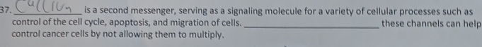 is a second messenger, serving as a signaling molecule for a variety of cellular processes such as 
control of the cell cycle, apoptosis, and migration of cells. _these channels can help 
control cancer cells by not allowing them to multiply.