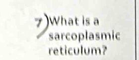 What is a 
sarcoplasmic 
reticulum?