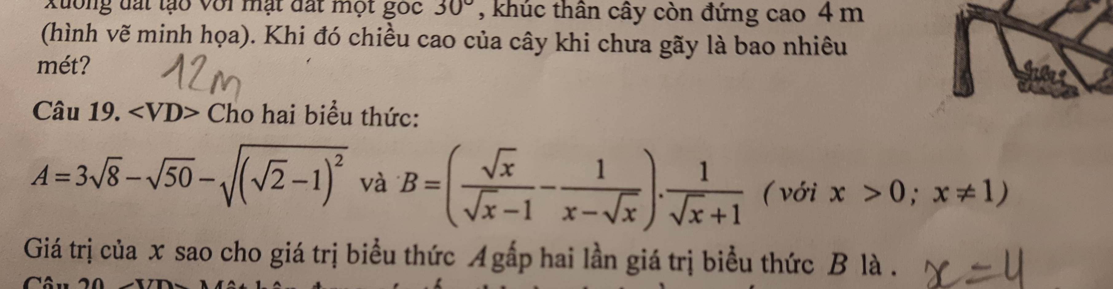 Xuống đất tạo với mạt đất một gốc 30° , khúc thân cây còn đứng cao 4 m
(hình vẽ minh họa). Khi đó chiều cao của cây khi chưa gãy là bao nhiêu 
mét? 
Câu 19. Cho hai biểu thức:
A=3sqrt(8)-sqrt(50)-sqrt((sqrt 2)-1)^2 và B=( sqrt(x)/sqrt(x)-1 - 1/x-sqrt(x) ). 1/sqrt(x)+1  (với x>0;x!= 1)
Giá trị của x sao cho giá trị biểu thức A gấp hai lần giá trị biểu thức B là .