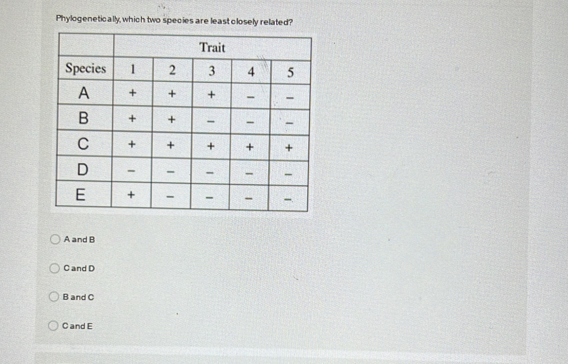 Phylogenetically, which two species are least closely related?
A and B
C and D
B and C
C and E