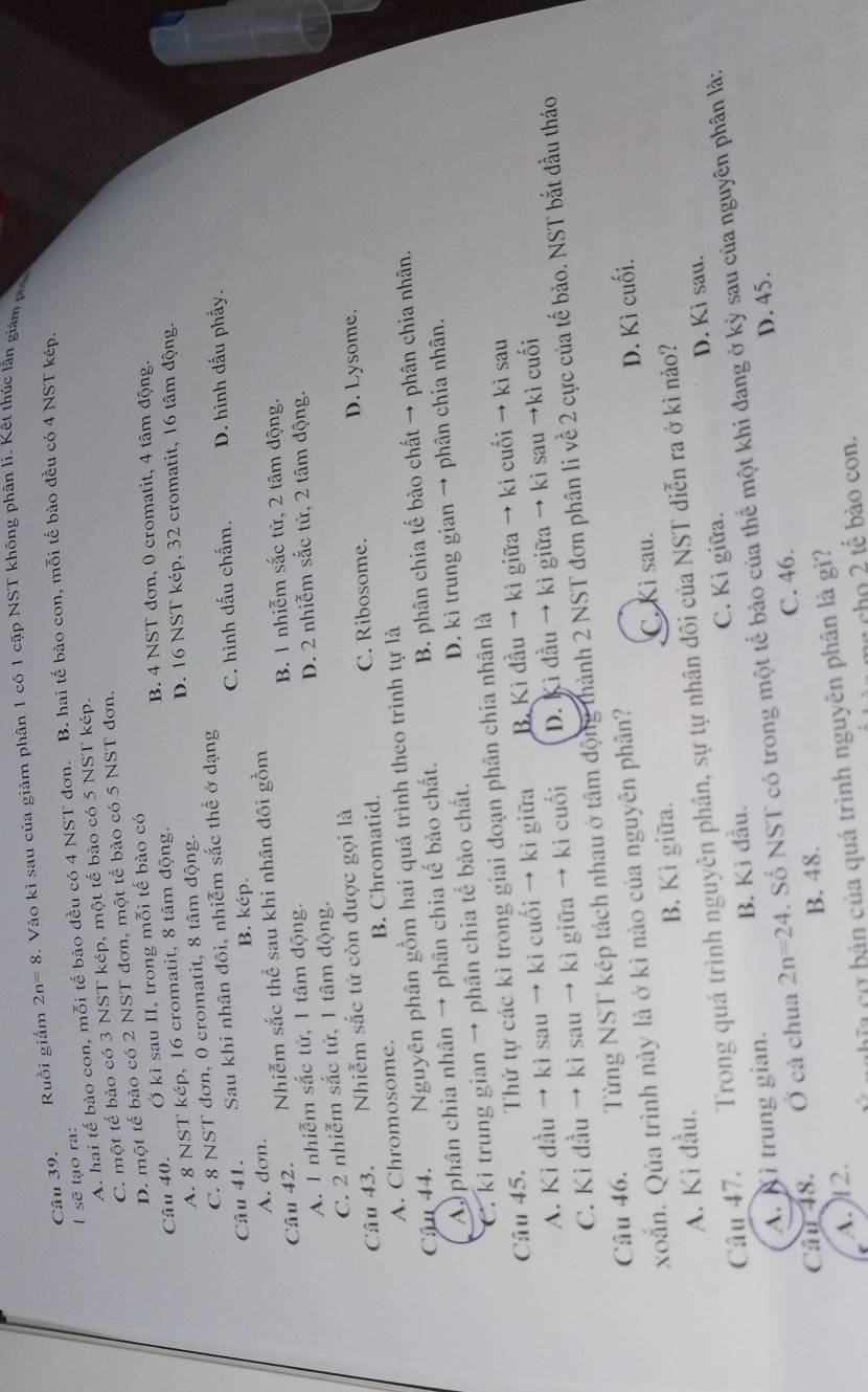 Ruồi giấm 2n=8 3. Vào kì sau của giảm phân 1 có 1 cặp NST không phân li. Kết thúc lần giám p
A. hai tế bào con, mỗi tế bào đều có 4 NST đơn. B. hai tế bào con, mỗi tế bào đều có 4 NST kép.
sẽ tạo ra:
C. một tế bảo có 3 NST kép, một tế bào có 5 NST kép.
D. một tế bào có 2 NST đơn, một tế bào có 5 NST đơn.
B. 4 NST đơn, 0 cromatit, 4 tâm động.
Câu 40. Ở kì sau II, trong mỗi tế bào có
D. 16 NST kép, 32 cromatit, 16 tâm động.
A. 8 NST kép, 16 cromatit, 8 tâm động.
C. 8 NST đơn, 0 cromatit, 8 tâm động.
Câu 41. Sau khi nhân đôi, nhiễm sắc thể ở dạng
A. dơn. B. kép. C. hình dấu chấm. D. hình dấu phẩy.
Câu 42. Nhiễm sắc thể sau khi nhân đôi gồm
B. 1 nhiễm sắc tử, 2 tâm động.
A. 1 nhiễm sắc tử, 1 tâm động.
D. 2 nhiễm sắc tử, 2 tâm động.
C. 2 nhiễm sắc tử, 1 tâm động.
Câu 43. Nhiễm sắc tử còn được gọi là
C. Ribosome. D. Lysome.
A. Chromosome. B. Chromatid.
Cậu 44. Nguyên phân gồm hai quá trình theo trình tự là
A  phân chia nhân → phân chia tế bào chất. B. phân chia tế bào chất → phân chia nhân.
C. kì trung gian → phân chia tế bào chất. D. kì trung gian → phân chia nhân.
Câu 45. Thứ tự các kì trong giai đoạn phân chia nhân là
A. Ki đầu → kì sau → ki cuối → kì giữa B. Kì đầu → kì giữa → ki cuối → kì sau
C. Kì đầu → kì sau → kì giữa → kì cuối D. Kì đầu → kì giữa → kì sau →kì cuối
Câu 46.       Từng NST kép tách nhau ở tâm động thành 2 NST đơn phân li về 2 cực của tế bào. NST bắt đầu tháo
xoắn. Qúa trình này là ở kì nào của nguyên phân?
A. Kì đầu. B. Kì giữa. C. Kì sau. D. Kì cuối.
Câu 47. Trong quá trình nguyên phân, sự tự nhân đôi của NST diễn ra ở kì nào? D. Kì sau.
A. À ì trung gian. B. Kì đầu. C. Kì giữa.
Câu 48. Ở cả chua 2n=24. Số NST có trong một tế bào của thể một khi đang ở kỳ sau của nguyên phân là:
C. 46. D. 45.
B. 48.
A. 12.
phĩa  cơ  bản của quá trình nguyên phân là gi?
ch o 2 tế bào con.