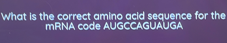 What is the correct amino acid sequence for the 
mRNA code AUGCCAGUAUGA