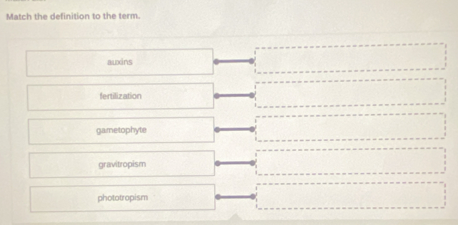 Match the definition to the term.
auxins
fertilization
gametophyte
gravitropism
phototropism